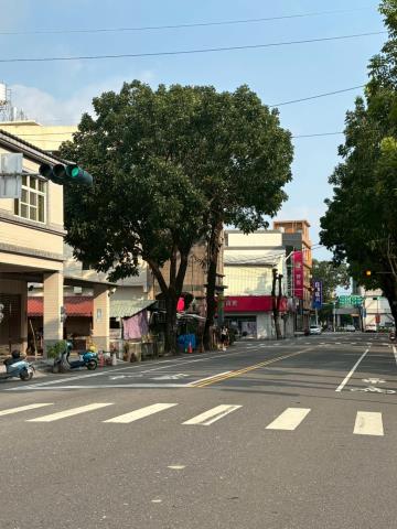 高雄旗山拍賣透天-4