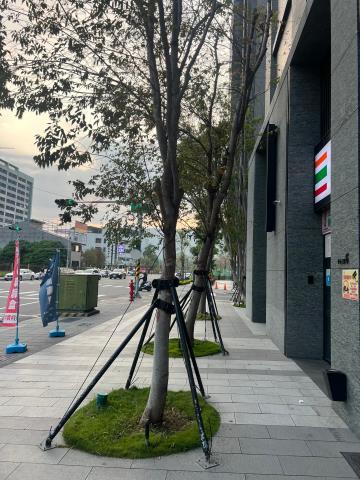 三民區法拍大樓-3